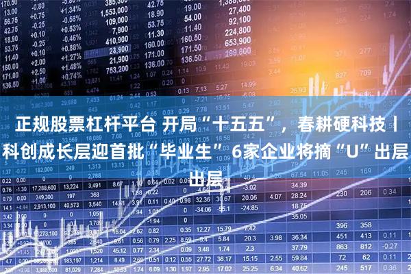 正规股票杠杆平台 开局“十五五”，春耕硬科技丨科创成长层迎首批“毕业生” 6家企业将摘“U”出层