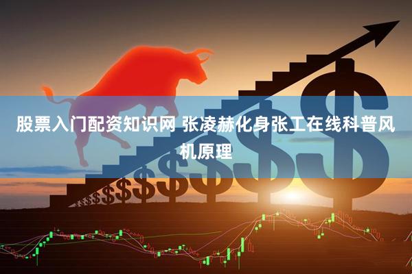 股票入门配资知识网 张凌赫化身张工在线科普风机原理
